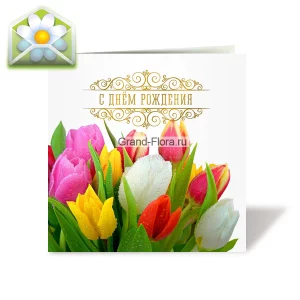 Открытка: С днем рождения Открытка: С днем рождения