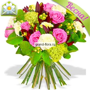 Катарина Катарина